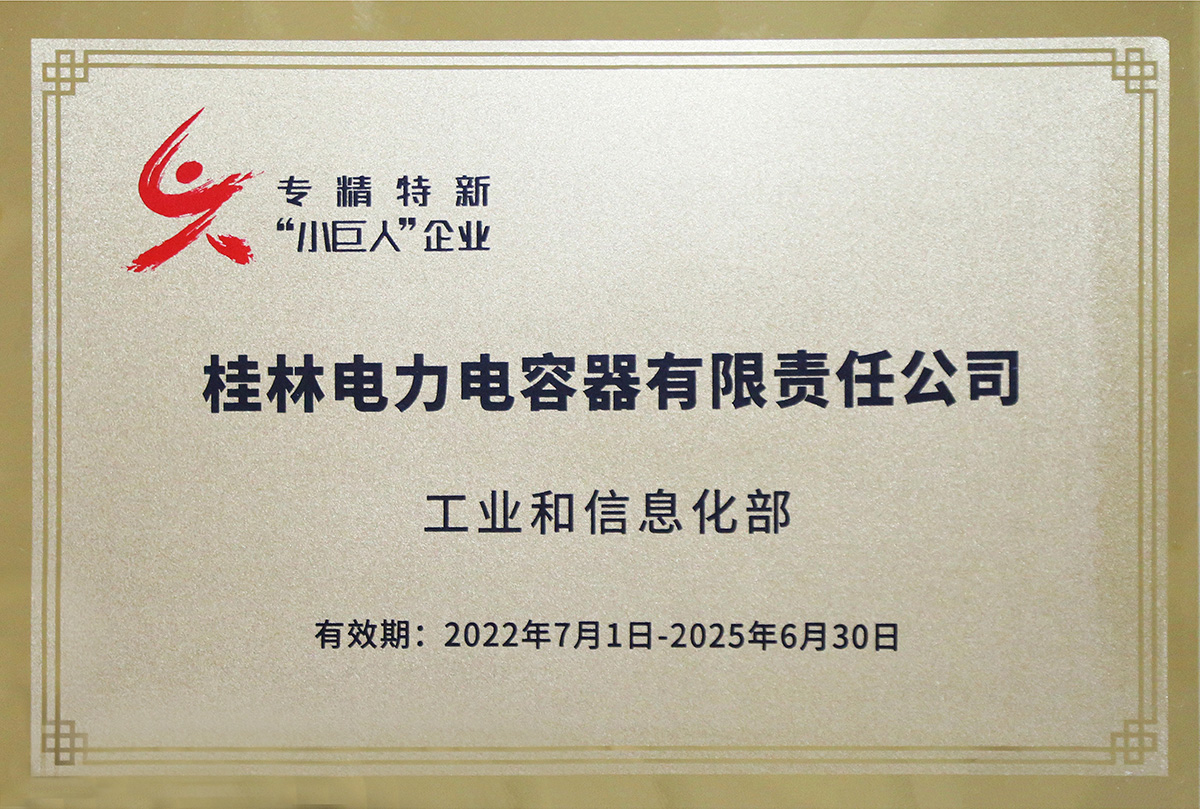 國家級(jí)專精特新“小巨人”企業(yè).jpg